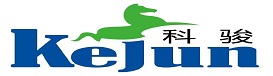 驅(qū)馳電機(jī)